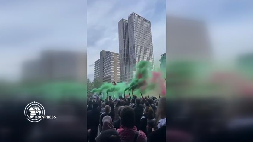 Iranpress: مظاهرات في عدد من الدول الأوروبية والأمريكية تنديدًا بمجزرة رفح 
