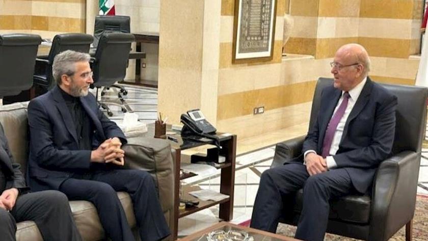 Iranpress: اللقاء بين باقري كني مع كل من رئيس الوزراء ورئيس مجلس النواب اللبناني