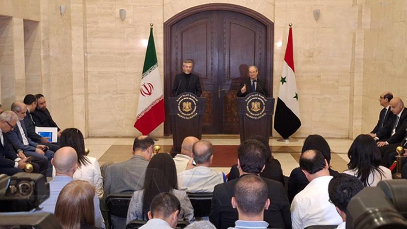 Iranpress: وزير الخارجية الإيراني بالوكالة يلتقي وزير الخارجية السوري 