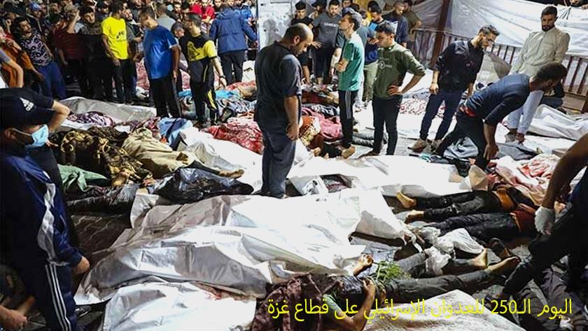 Iranpress: اليوم الـ250 من الحرب على غزة.. استمرار جرائم الاحتلال في القطاع