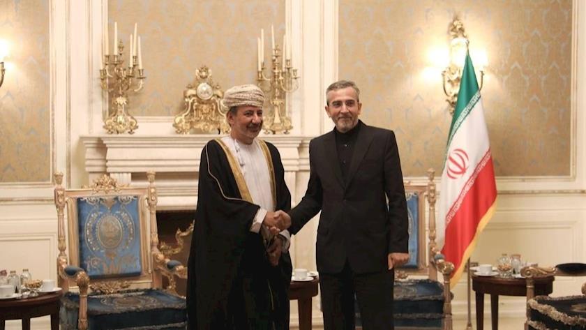 Iranpress: باقري كني يجتمع مع الممثل الخاص لسلطنة عمان