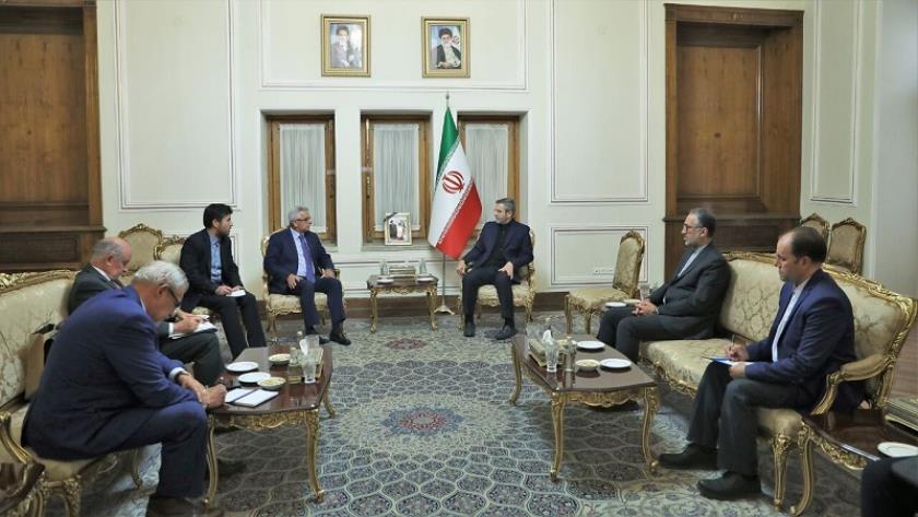 Iranpress: باقري كني: اتساع رقعة الجرائم الصهيونية يشكل تهديداً لسلام وأمن المنطقة والعالم