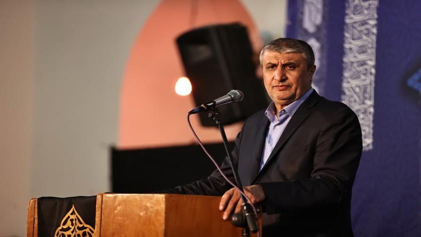 Iranpress: إسلامي: قوى الاستكبار العالمي قلقة من تقدم الصناعة النووية الإيرانية 