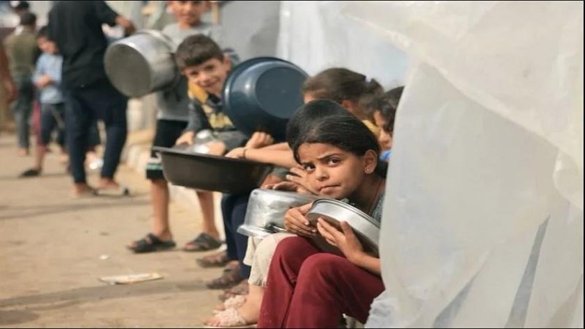 Iranpress: آخر تطورات اليوم الـ341 من الحرب على غزة 