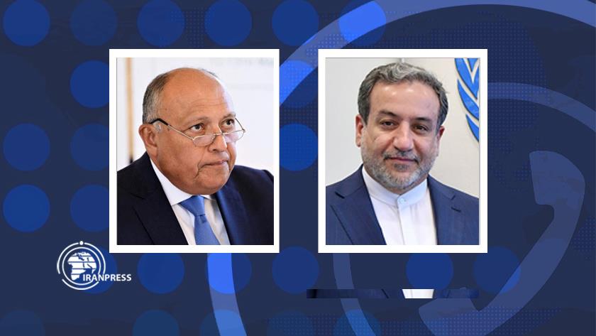 Iranpress: مصر وإيران تؤكدان على تكثيف الجهود لوقف العدوان على غزة
