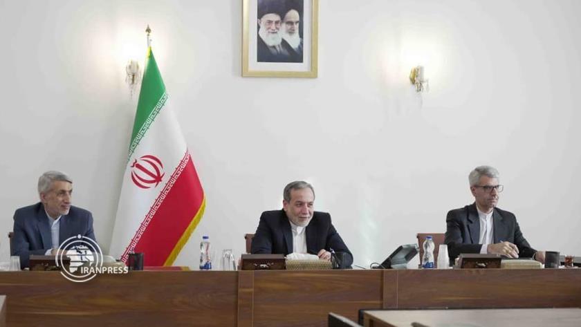 Iranpress: عراقتشي: لا مبرر لتعطيل نشاط القنصليات الايرانية في المانيا