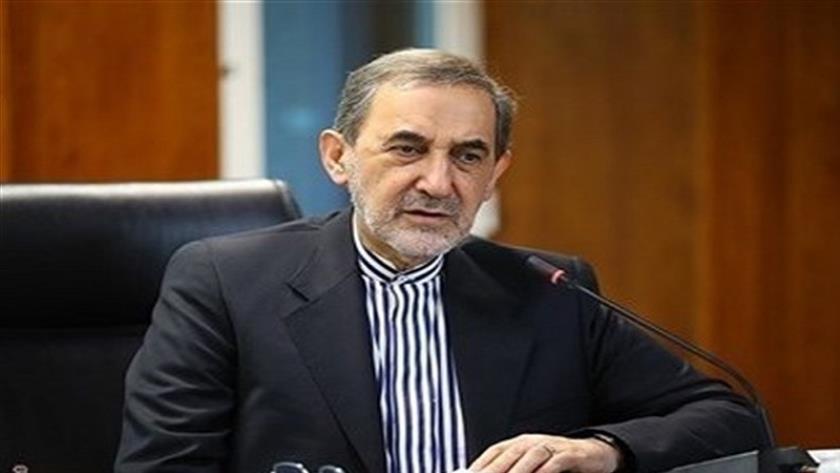 Iranpress: مستشار قائد الثورة: تركيا أصبحت أداة بيد أمريكا والكيان الصهيوني