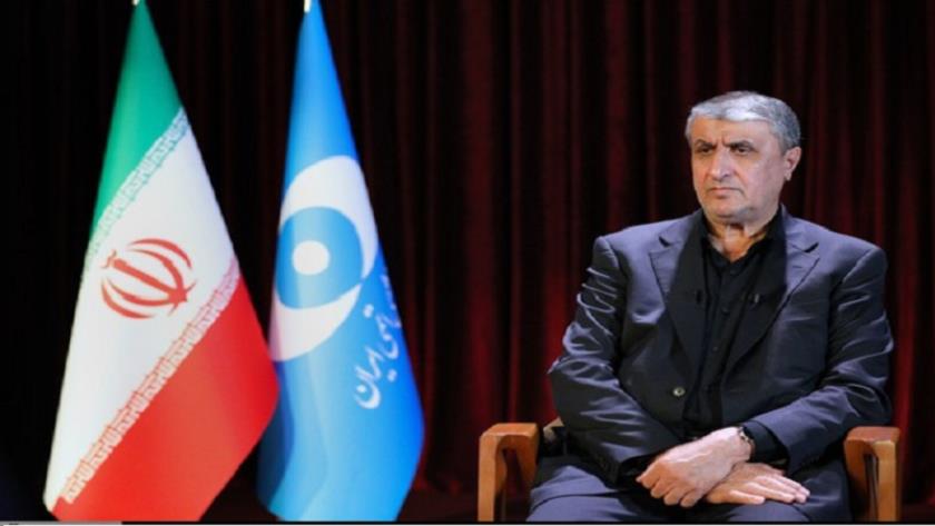 Iranpress: إسلامي: الأطراف الأوروبية أبلغت إيران أن رفع العقوبات ليس بيدنا