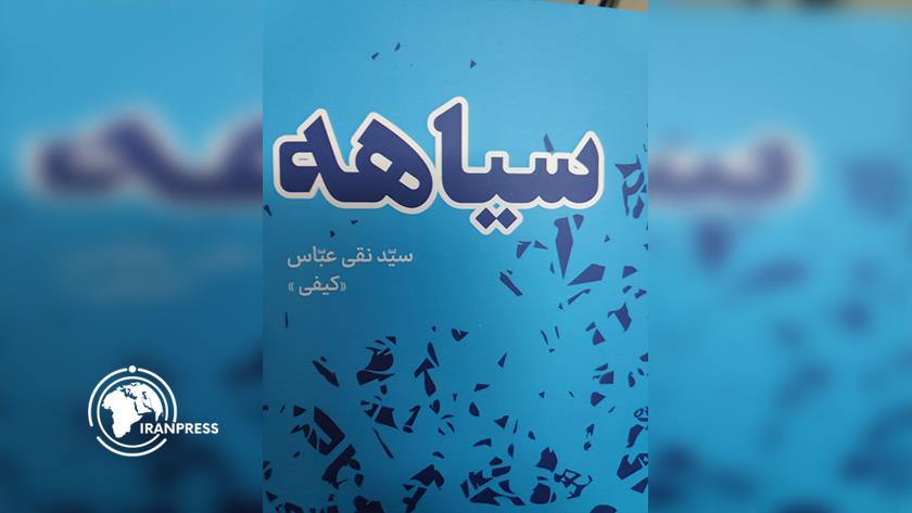 Iranpress: الكشف عن كتب فارسية في الهند