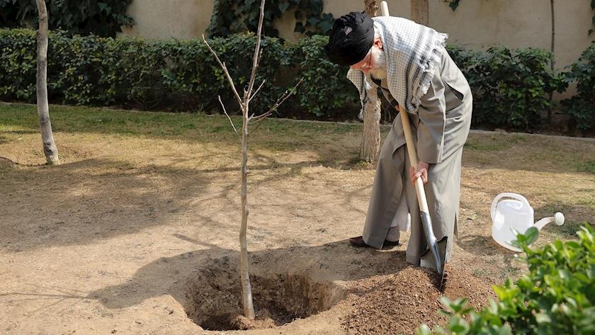ایران برس: غرس شتلات على يد قائد الثورة رسالة قوية للمجتمع