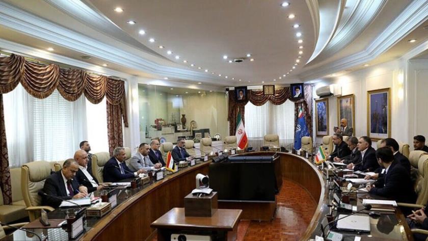 Iranpress: تأكيد وزير النفط الإيراني ووزير الكهرباء العراقي على تطوير التعاون