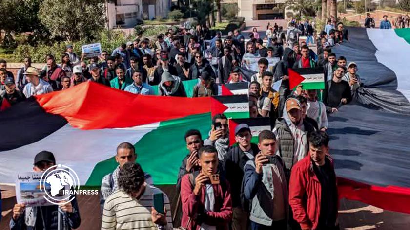 Iranpress: الجامعات الجزائرية تنتفض تضامناً مع غزة