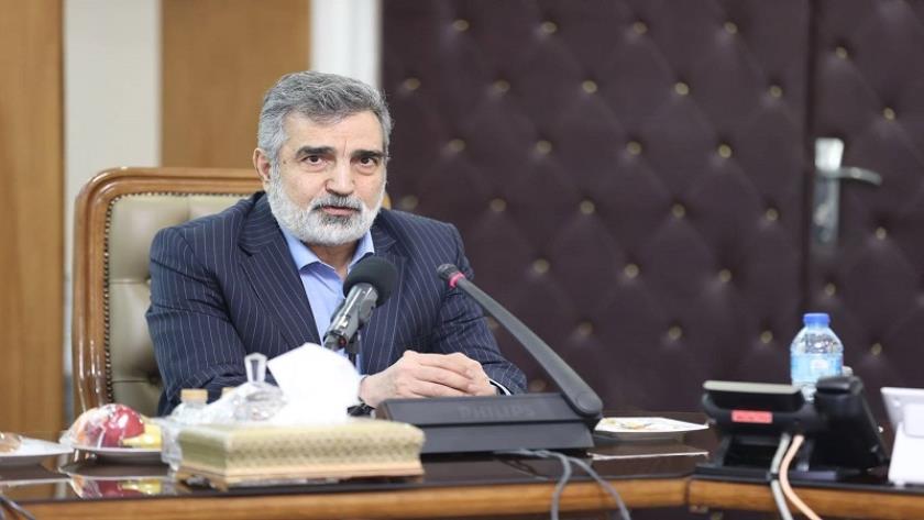 Iranpress: كمالوندي: نائب المدير العام للوكالة الذرية يزور طهران بعد أسبوعين