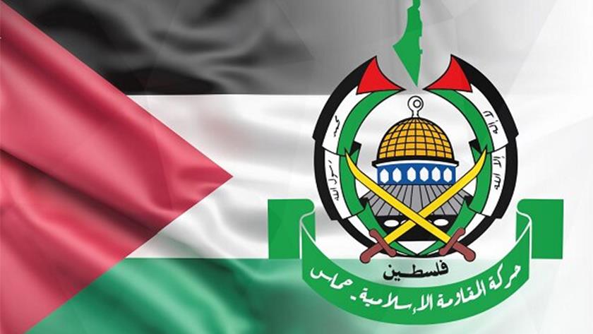 Iranpress: حماس تشيد بالمواقف التركية وتدعو لتصعيد الضغوط الدولية لوقف الإبادة في غزة 