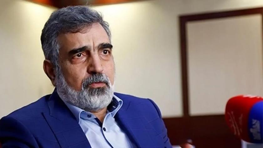 Iranpress: إيران وروسيا توقعان اتفاقًا نوويًا ضخمًا بقيمة 25 مليار دولار لبناء أربع محطات جديدة 