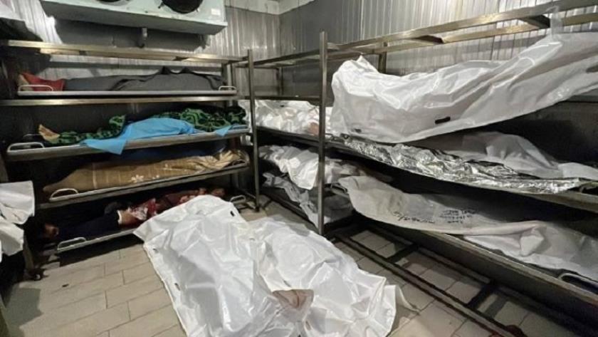 Iranpress: غزة: تعذيب وإعدامات ميدانية ونهب أعضاء من جثامين الشهداء 