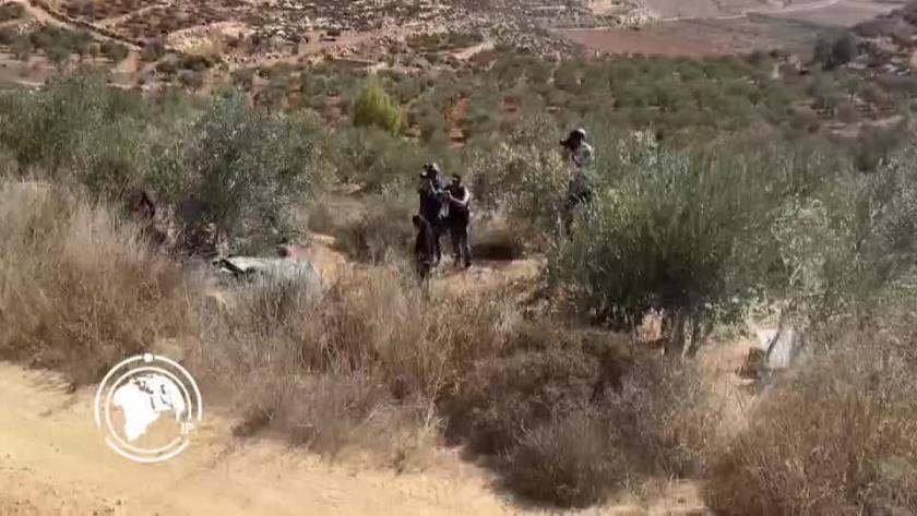 Iranpress: الصهاينة يواصلون اعتداءاتهم على مزارع الفلسطينيين في الضفة الغربية + فيديو