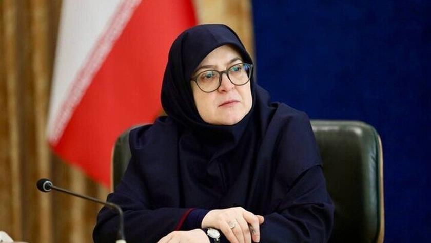 Iranpress: مهاجراني: الخارجية الإيرانية تلقّت رسائل بشأن استئناف المفاوضات