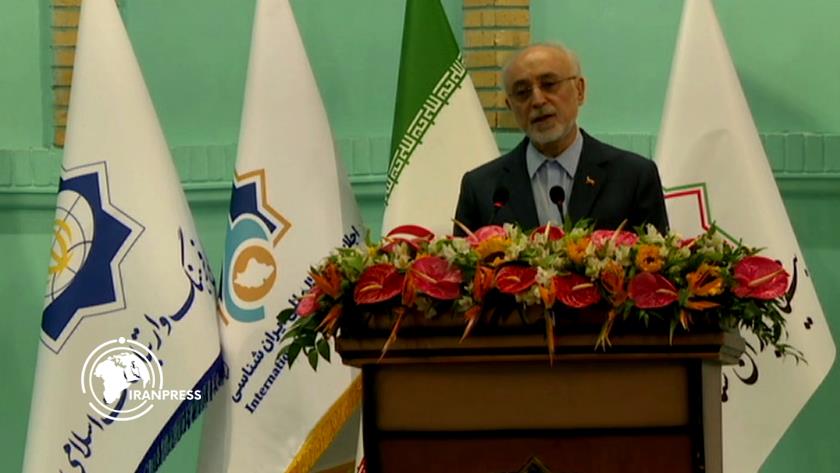 Iranpress: صالحي: الدراسات الإيرانية جسر لربط الحضارات