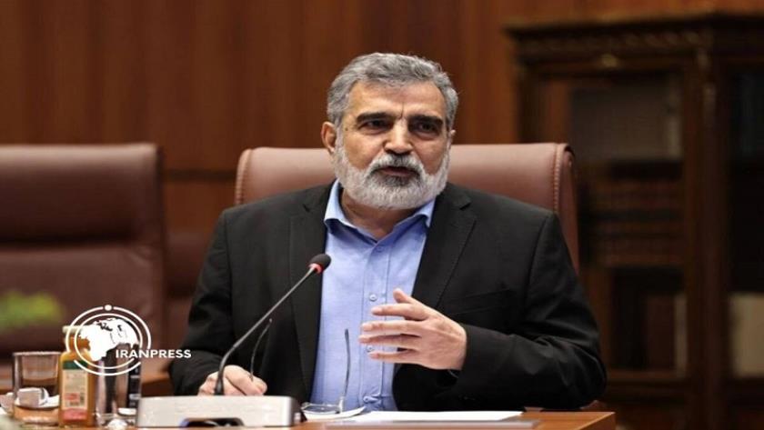 Iranpress: كمالوندي: الهجوم على المنشآت النووية الإيرانية “جريمة حرب”