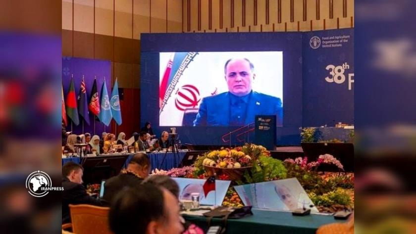 Iranpress: وزير الجهاد الزراعي: العدوان الأمريكي أثّر سلبًا على الأمن الغذائي العالمي