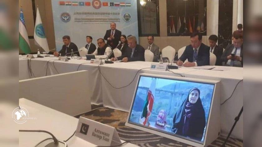 Iranpress: وزيرة الطرق: العدوان الصهيو-أمريكي على إيران تهديد جاد للسلام والاستقرار الدولي