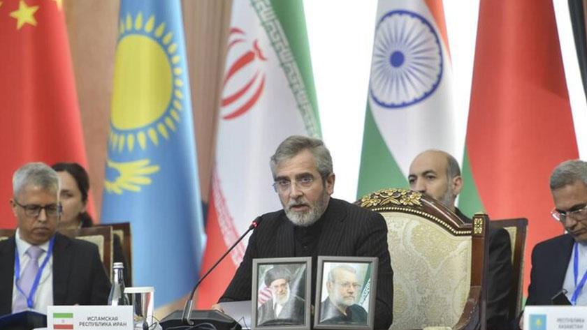 ایران برس: علي باقري: العدوان الـ40 يومًا طال الشجر والبشر في إيران