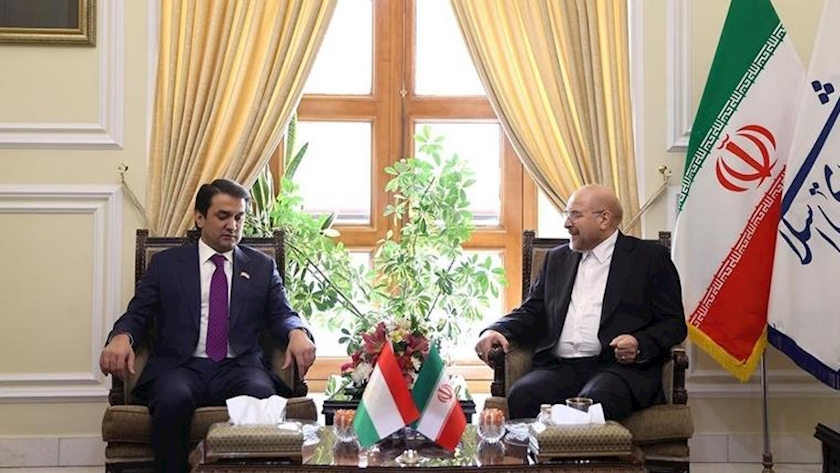 Iranpress: قالیباف: نیازمند مقابله با تروریسم و قاچاق موادمخدر در افغانستان هستیم