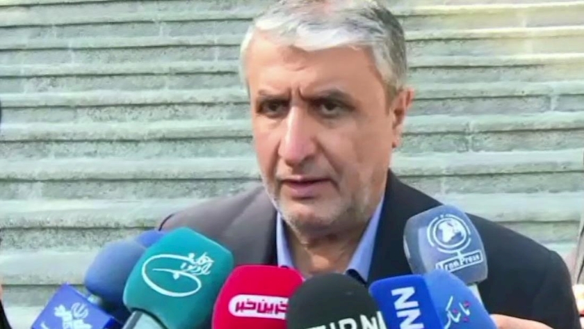 Iranpress: ساخت دو نیروگاه اتمی تا پایان دولت چهاردهم