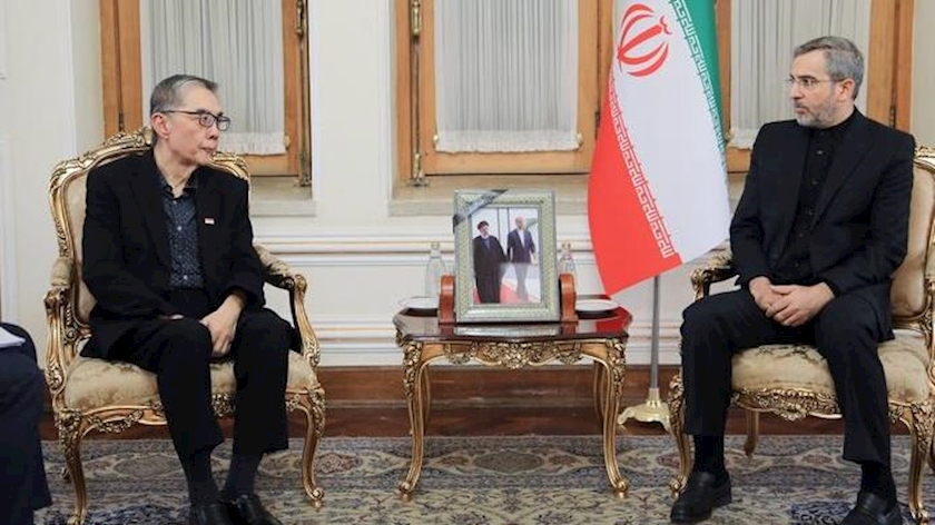 Iranpress: دیدار نمایندگان وزارت خارجه قزاقستان و سنگاپور با علی باقری کنی