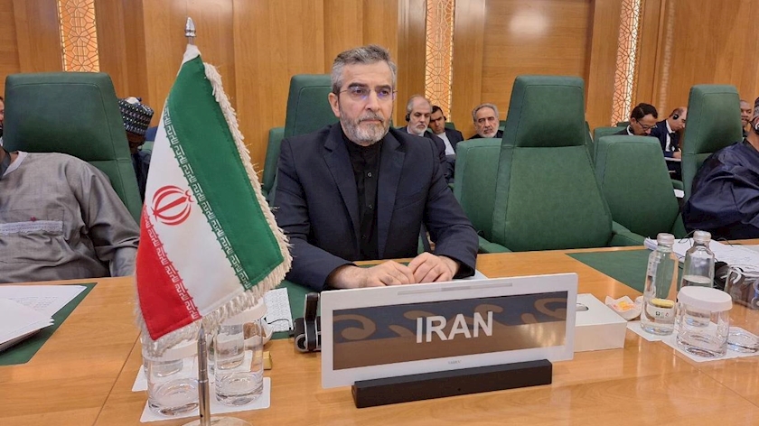Iranpress: در برابر جنایات رژیم اسرائیل سازمان همکاری اسلامی در معرض آزمونی جدی قرار گرفته است