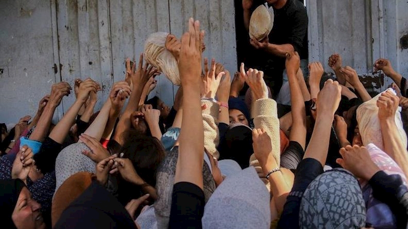 Iranpress: فاجعه بحران گرسنگی در شمال نوار غزه