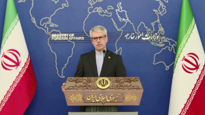 Iranpress: ارسال سند مصوب سازمان همکاری اسلامی درباره غزه به مجمع عمومی سازمان ملل