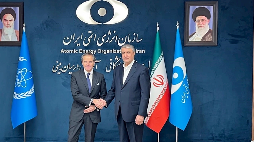 Iranpress: مدیرکل آژانس بین‌المللی انرژی اتمی با محمد اسلامی در تهران دیدار کرد