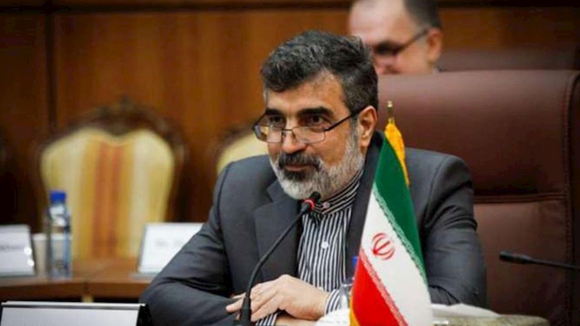 Iranpress: سفر آتی معاون مدیرکل آژانس بین‌المللی انرژی اتمی به تهران