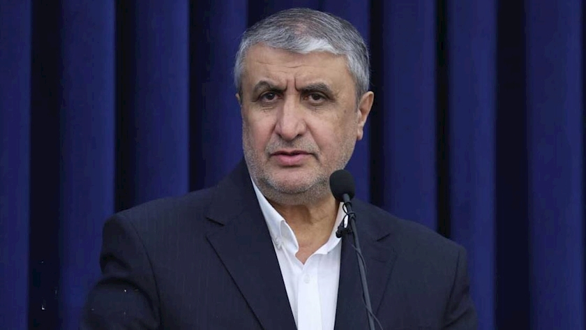 Iranpress: هشدار ایران در کنفرانس آژانس؛ قانون‌گریزی هسته‌ای نباید نهادینه شود