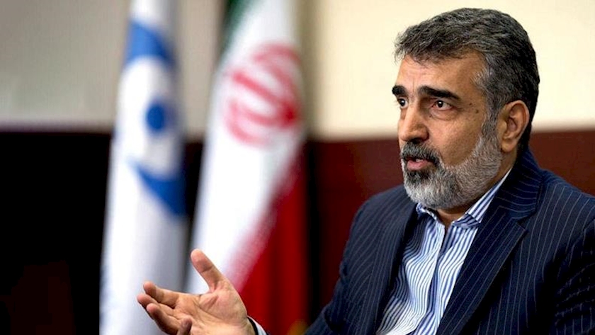 Iranpress: نیروگاه‌هایی هسته‌ای بزرگ‌تر از بوشهر در راه‌اند