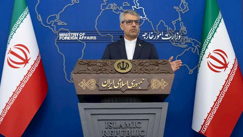 Iranpress: استقبال وزارت خارجه از حکم آزادی مشروط مهدیه اسفندیاری در فرانسه