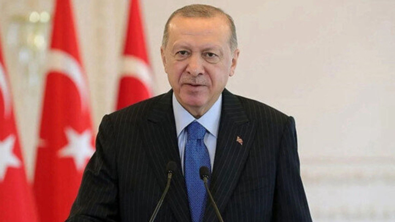 Iranpress: اردوغان: بمباران بیمارستان المعمدانی مصداق بارز جنایت است
