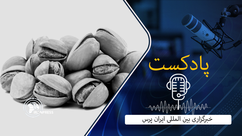 Iranpress: بشنوید؛ ایران دومین صادرکننده پسته به اروپا در 2023 شد