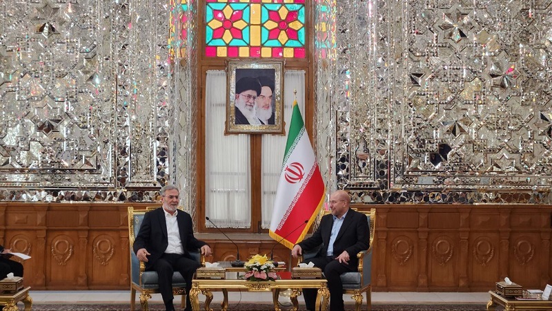 Iranpress: دیدار دبیرکل جنبش جهاد اسلامی فلسطین با رئیس مجلس شورای اسلامی