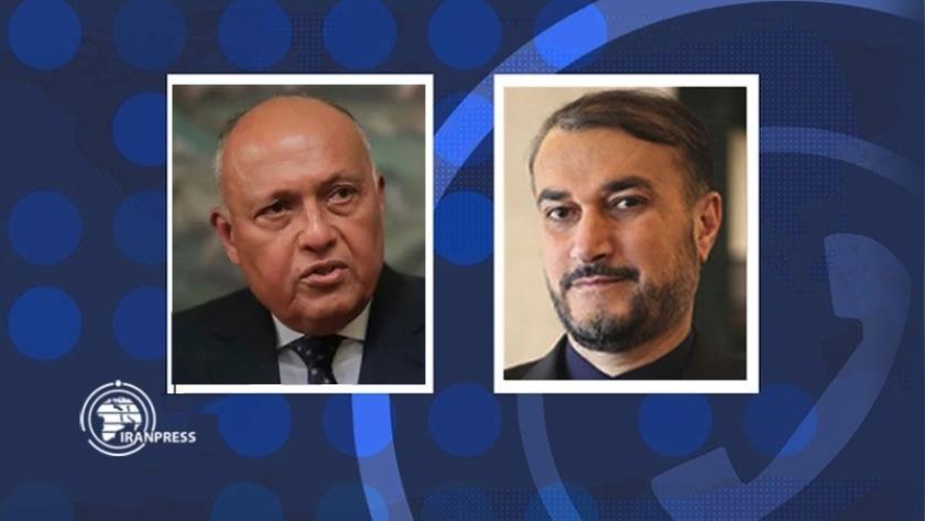 Iranpress: رایزنی وزیران امور خارجه ایران و مصر