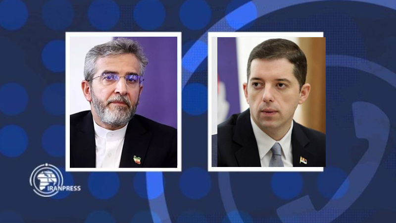 Iranpress: وزیر خارجه صربستان: یاد آیت‌الله رئیسی در اذهان باقی خواهد ماند