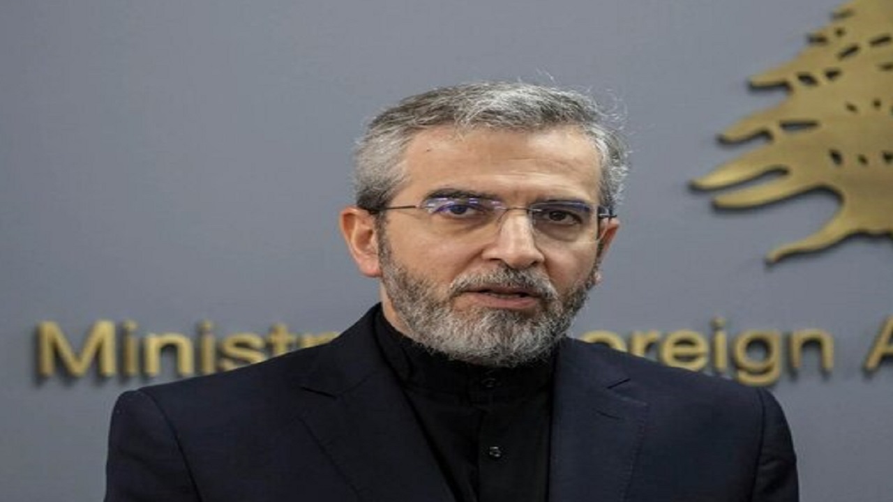 Iranpress: دیدار باقری با هیاتی از گروه‌های مقاومت فلسطین