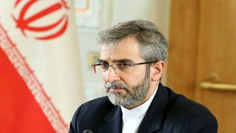 Iranpress: باقری کنی: جامعه جهانی ، اسرائیل را وادار به اجرای رای دیوان بین المللی دادگستری بکند