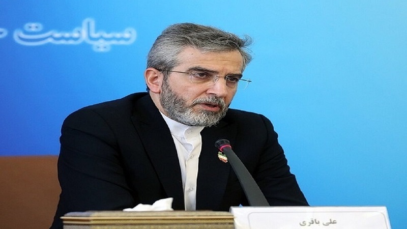 Iranpress: باقری کنی : قدرت بازدارندگی ایران در منطقه از دستاوردهای شهید امیرعبداللهیان است