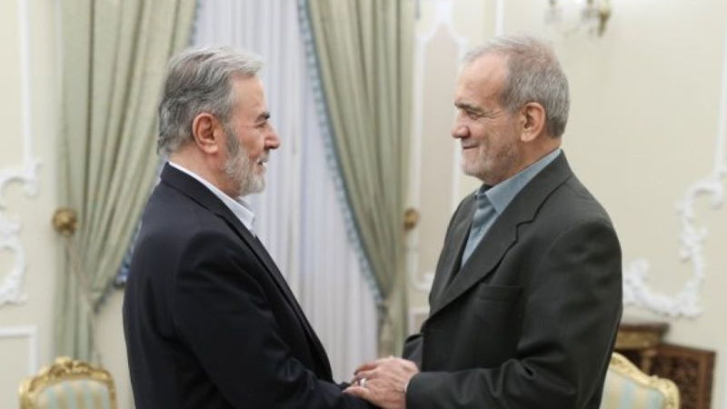 Iranpress: پزشکیان: پشتیبانی از آرمان‌های ملت مظلوم فلسطین با قدرت ادامه خواهد یافت