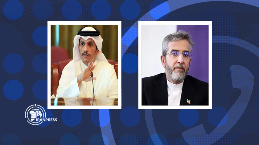 Iranpress: بررسی آخرین تحولات نوار غزه، محور گفت وگوی باقری و وزیرخارجه قطر 