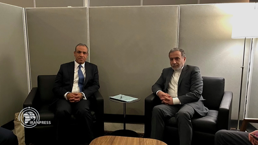 Iranpress: رایزنی ایران، مصر برای برگزاری  نشست فوق العاده سران کشورهای عضو سازمان همکاری اسلامی