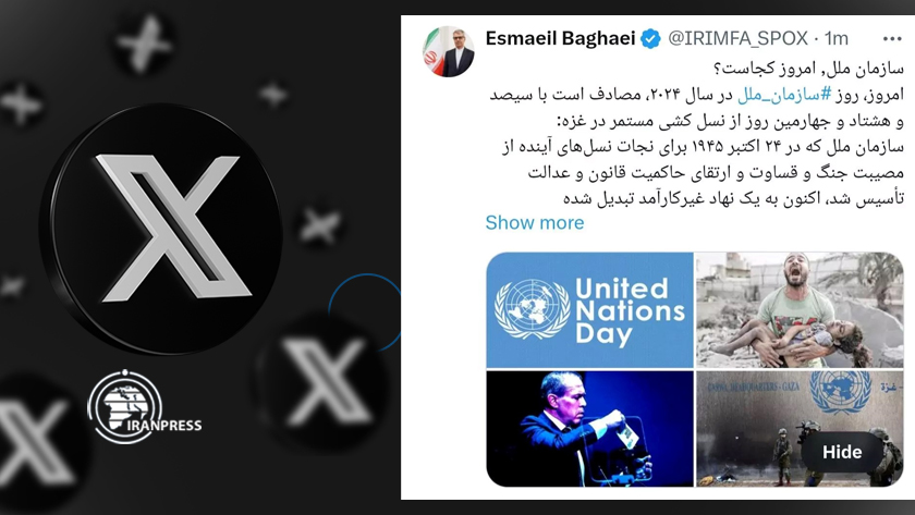 Iranpress: بقایی: سازمان ملل در حال از دست دادن فلسفه وجودی خود است